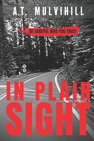 In Plain Sight - A T Mulvihill - Livros - Independently Published - 9798605001102 - 4 de fevereiro de 2020