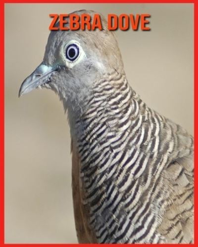 Cover for Annie Nichols · Zebra Dove (Paperback Book) (2021)