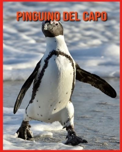 Pinguino del Capo: Foto stupende e fatti divertenti Libro sui Pinguino del Capo per bambini - Alicia Moore - Books - Independently Published - 9798714208102 - February 27, 2021