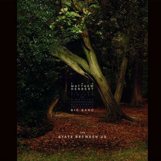 Matthew Herbert Big Band · State Between Us (LP) (2019)