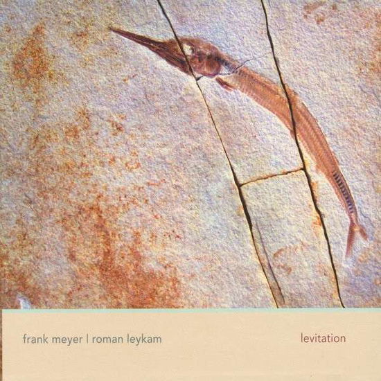 Levitation - Frank Meyer - Musik - Frank Mark Arts - 0888174660103 - 20. März 2014