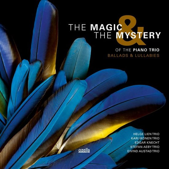 Cover for Magic &amp; Mystery Of The Piano Trio (CD) (2014)