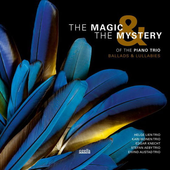 Cover for Magic &amp; the Mystery of the Piano Trio / Various · Magic &amp; Mystery Of The Piano Trio (CD) (2014)