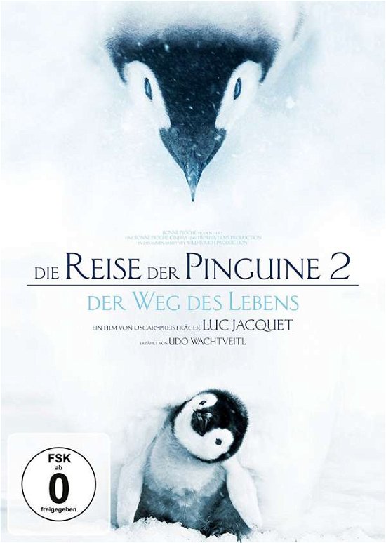 Cover for Die Reise Der Pinguine 2 (DVD) (2018)