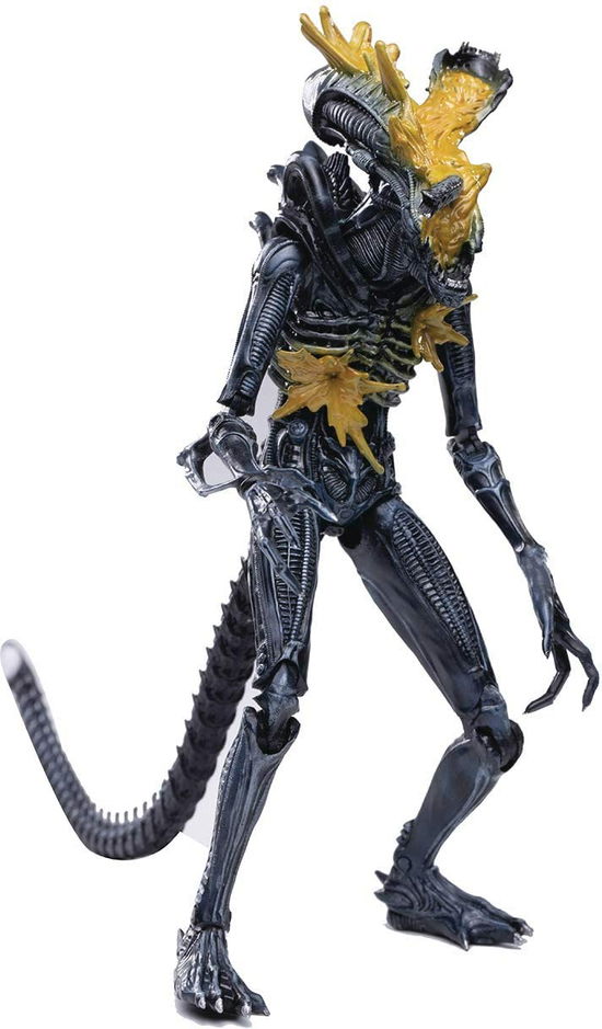 Cover for Hiya Toys · Aliens Headshot Alien Warrior Px 1/18 Scale Figure (MERCH) (2021)