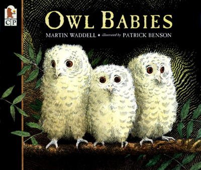 Owl Babies - Martin Waddell - Bücher - Candlewick Press - 9780763617103 - 1. April 2002