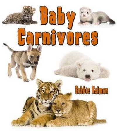 Cover for Bobbie Kalman · Baby Carnivores (It's Fun to Learn About Baby Animals) (Hardcover Book) (2013)