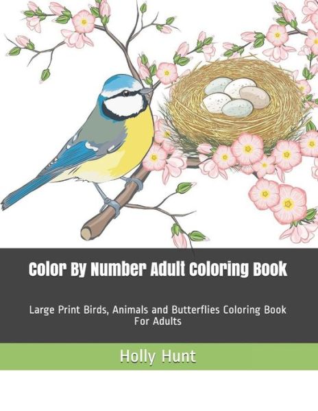 Cover for Holly Hunt · Color By Number Adult Coloring Book (Paperback Book) (2019)