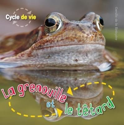 Cover for Camilla De la Bédoyère · La grenouille et le têtard (Book) (2010)