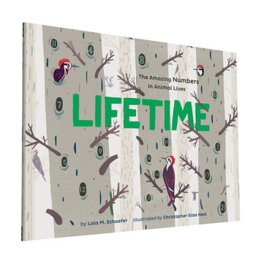 Cover for Lola M. Schaefer · Lifetime: The Amazing Numbers in Animal Lives (Pocketbok) (2016)