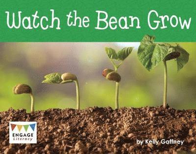 Cover for Kelly Gaffney · Watch the Bean Grow - Engage Literacy Yellow - Extension B (Paperback Book) (2019)