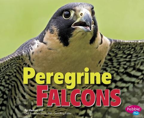 Cover for Melissa Hill · Peregrine Falcons (Paperback Book) (2015)