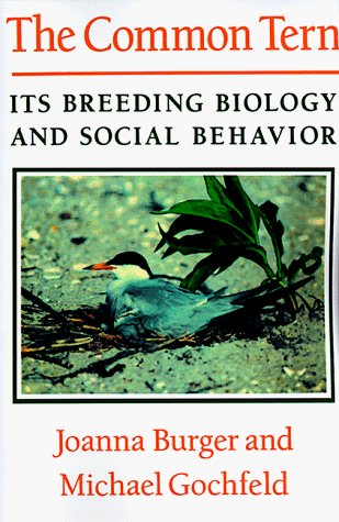 Cover for Joanna Burger · The Common Tern: Its Breeding Biology and Social Behavior (Paperback Book) (1991)