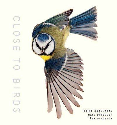 Cover for Roine Magnusson · Close to Birds: An Intimate Look at Our Feathered Friends (Hardcover Book) (2019)