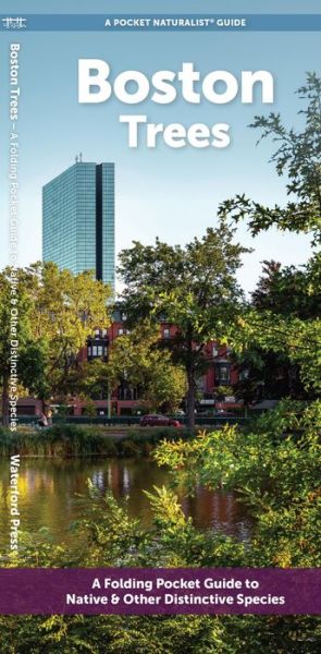 Cover for Waterford Press · Boston Trees: A Folding Pocket Guide to Native &amp; Other Distinctive Species - Pocket Naturalist Guide (Pamphlet) (2024)