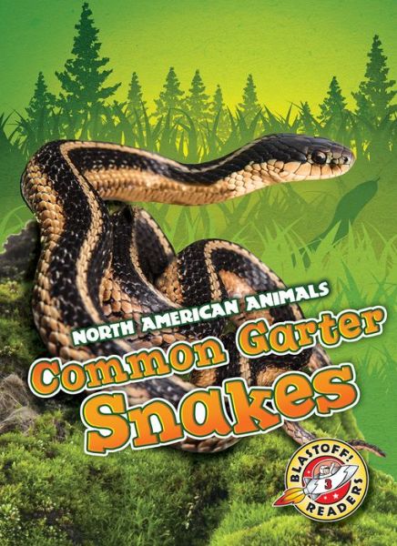 Cover for Rebecca Sabelko · Common Garter Snakes (Hardcover Book) (2019)