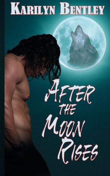 Cover for Karilyn Bentley · After the Moon Rises (Paperback Book) (2014)