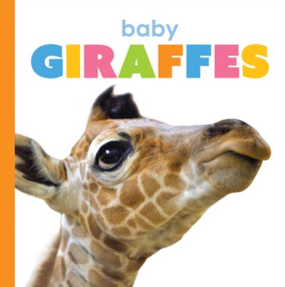 Cover for Kate Riggs · Baby Giraffes (Paperback Book) (2020)