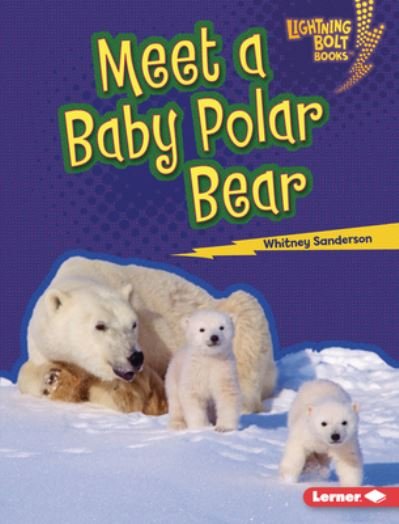 Cover for Whitney Sanderson · Meet a Baby Polar Bear (Bok) (2023)