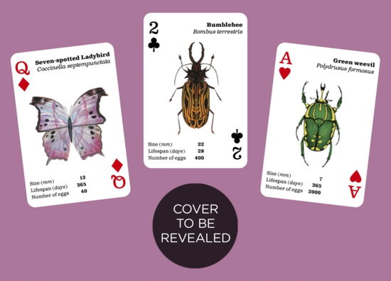 Cover for Brilliant Bugs · Brilliant Bugs: Playing Cards (Flashcards) (2025)