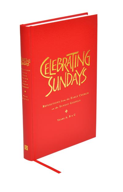 Cover for Stephen Holmes · Celebrating Sundays (Hardcover Book) (2014)