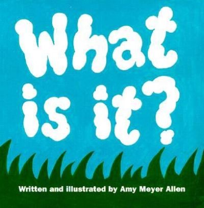 Cover for Amy Allen · What Is It? (Hardcover Book) [Brdbk edition] (2000)