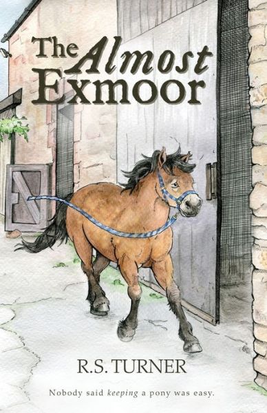 Cover for R. S. Turner · The Almost Exmoor (Pocketbok) (2019)