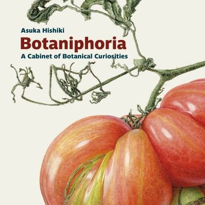 Cover for Asuka Hishiki · Botaniphoria: A Cabinet of Botanical Curiosities - Botanical Art Portfolios (Pocketbok) (2023)