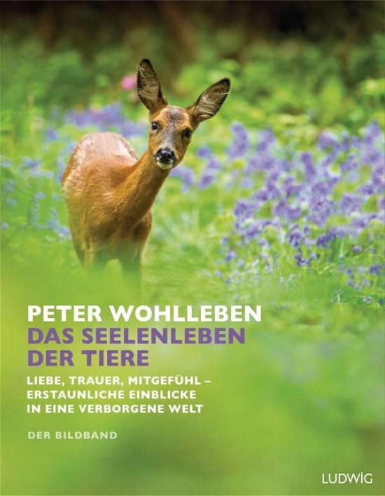 Cover for Wohlleben · Das Seelenleben der Tiere (Bog)