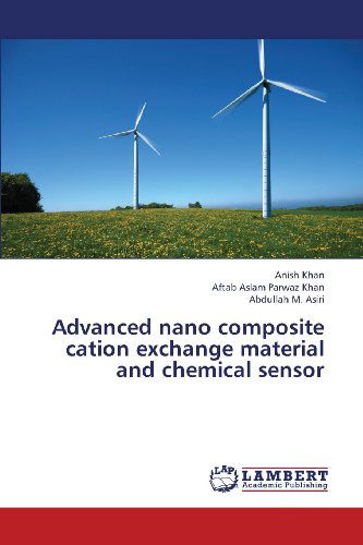 Cover for Abdullah M. Asiri · Advanced Nano Composite Cation Exchange Material and Chemical Sensor (Paperback Book) (2013)