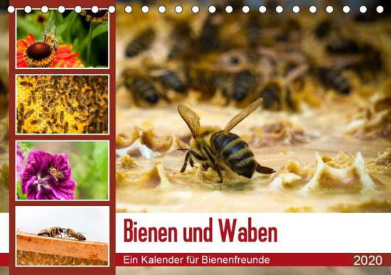 Cover for Wilms · Bienen und Waben (Tischkalender 2 (Book)