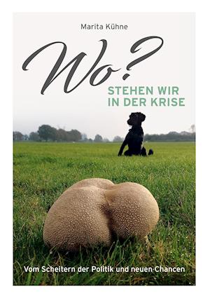 Cover for Marita Kühne · Wo? stehen wir in der Krise (Hardcover Book) (2021)