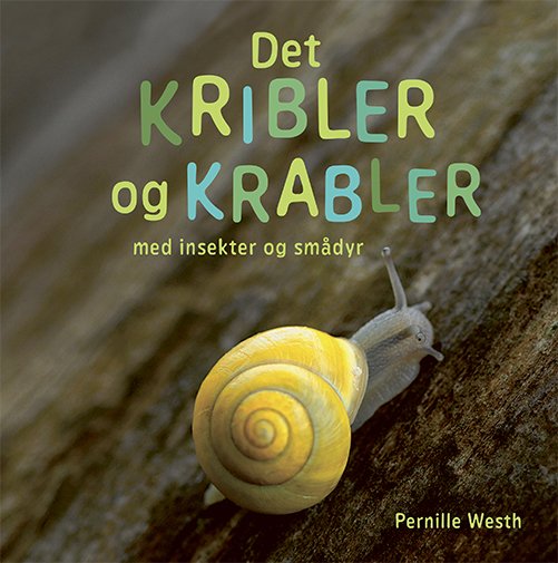 Pernille Westh · Det kribler og krabler med insekter og smådyr (Indbundet Bog) [1. udgave] (2024)