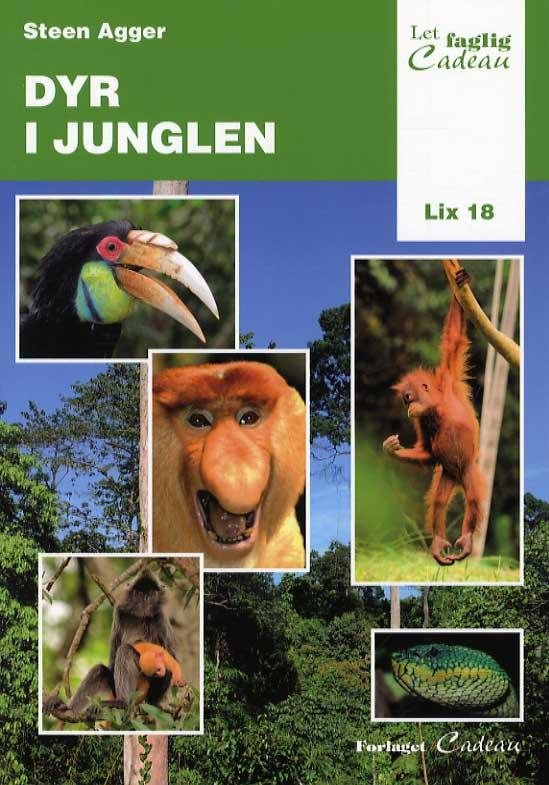Cover for Steen Agger · Let-faglig: Dyr i junglen (Sewn Spine Book) [1. Painos] (2013)