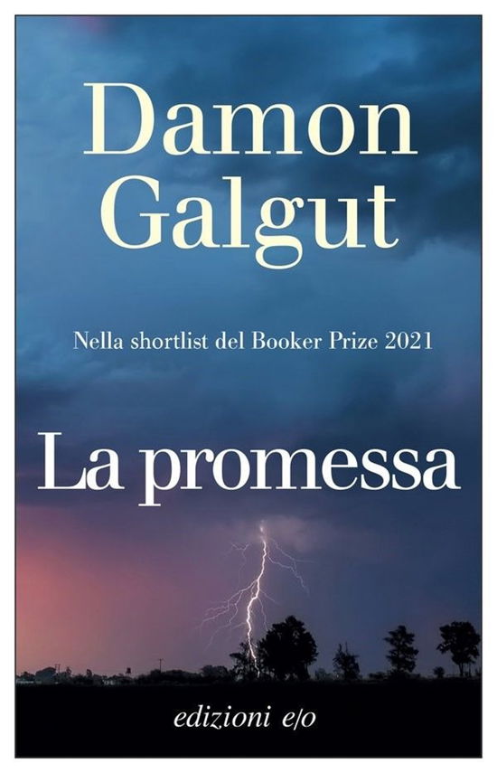 Cover for Damon Galgut · La Promessa (Book)