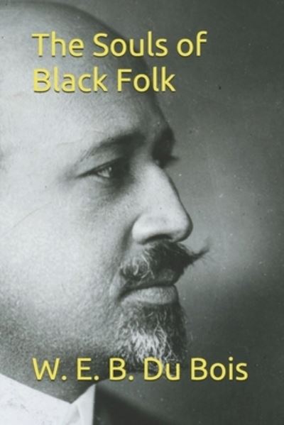 Cover for W E B Du Bois · The Souls of Black Folk (Taschenbuch) (2021)