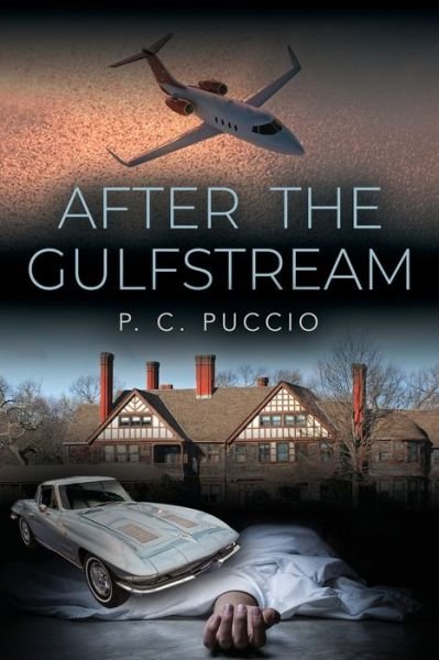 Cover for P C Puccio · After the Gulfstream (Paperback Book) (2022)