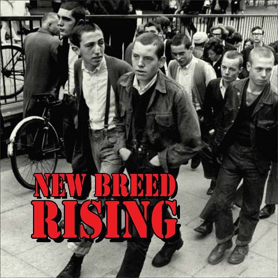 Cover for New Breed Rising (CD) (2015)