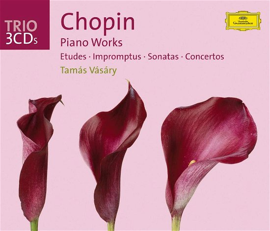 Cover for F. Chopin · Etueden / Impromptus / Sonate (CD) (2005)