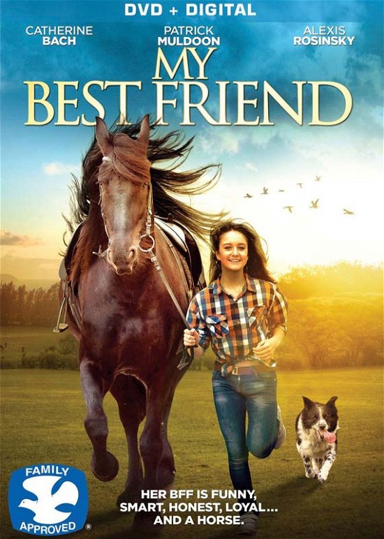 Cover for My Best Friend (DVD) (2016)
