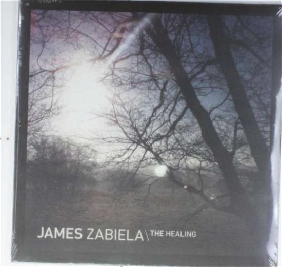 Cover for James Zabiela · Healing (LP) (2013)