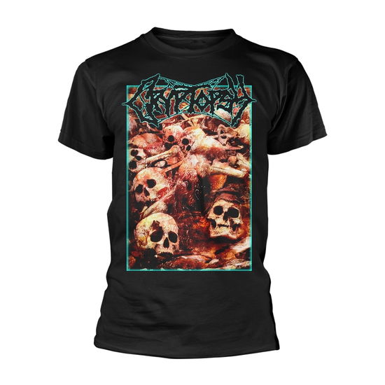 I Belong in the Grave - Cryptopsy - Produtos - PHM - 0803341552104 - 20 de agosto de 2021