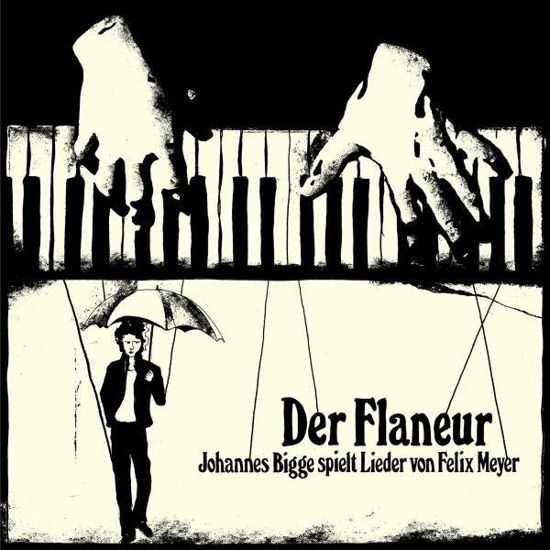 Cover for Johannes Bigge · Der Flaneur (Johannes Bigge Spielt Lieder Von Felix Meyer) (CD) (2021)