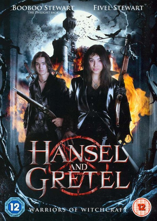 Cover for Hansel &amp; Gretel - Warriors of Witchcraft · Hansel And Gretel - Warriors Of Witchcraft (DVD) (2013)