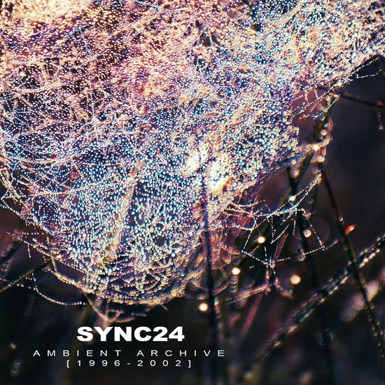 Cover for Sync24 · Ambient Archive (CD) (2019)