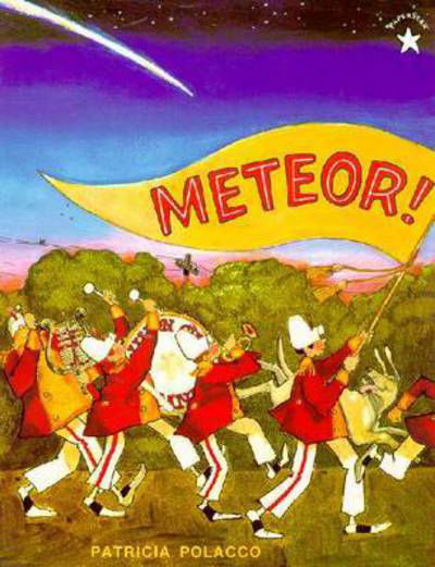 Meteor! - Patricia Polacco - Książki - Putnam Publishing Group,U.S. - 9780698114104 - 8 sierpnia 1996