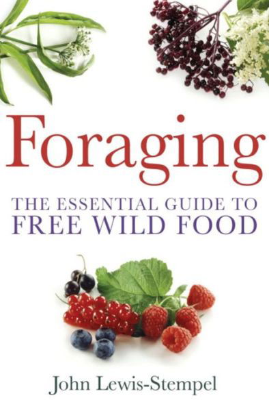 Cover for John Lewis-Stempel · Foraging: A practical guide to finding and preparing free wild food (Paperback Bog) (2012)