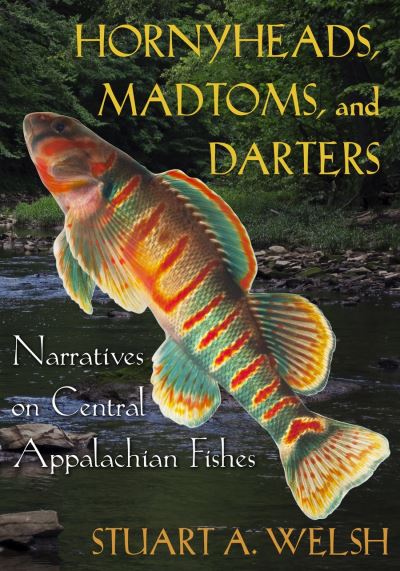 Cover for Stuart A. Welsh · Hornyheads, Madtoms, and Darters: Narratives on Central Appalachian Fishes (Paperback Book) (2023)