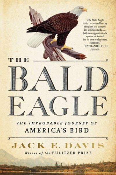 Cover for Davis, Jack E. (University of Florida) · The Bald Eagle: The Improbable Journey of  America's Bird (Paperback Book) (2023)