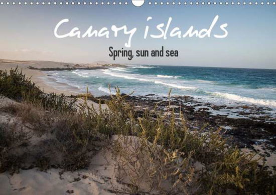 Cover for Volkova · Canary Islands, Spring, sun and (Buch)